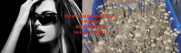 а пвп мука Билибино