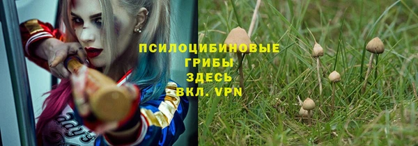 мет Михайлов
