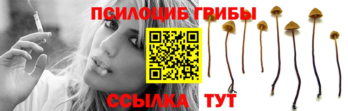 Коломна  Галлюциногенные грибы Cubensis  Галлюциногенные грибы Magic Shrooms  Вход с VPN 